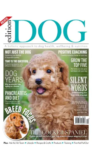 Edition Dog Magazine截图6