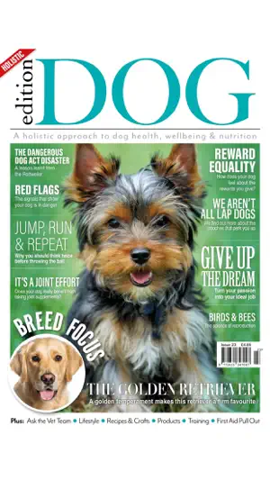 Edition Dog Magazine截图3
