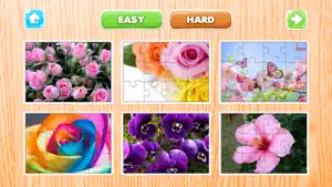 花卉 难题 对于 成人 拼图 拼图 游戏 自由截图3