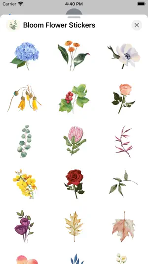 Bloom Flower Stickers截图2