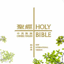 圣经-中文朗读同步字幕