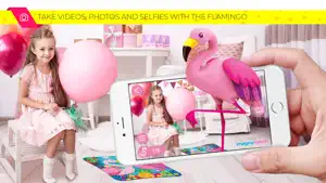 AR Flamingo截图4