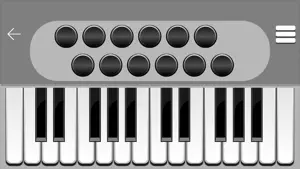 Accordion Piano - Aerophone.截图1